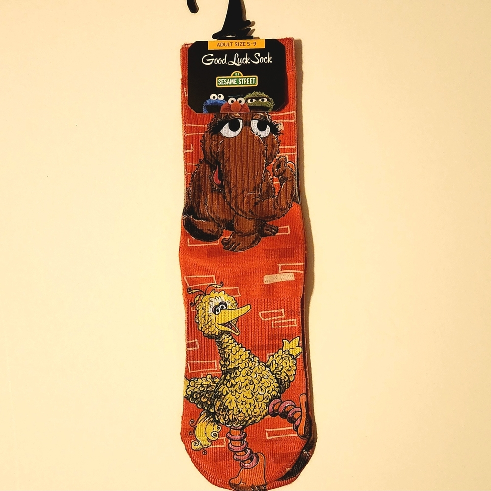 Sesame Street Character Socks - NWT